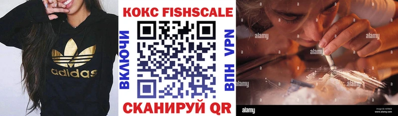 КОКАИН FishScale  Купить закладки  Славгород 