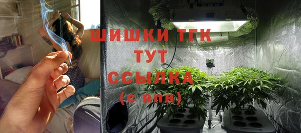 тгк Надым