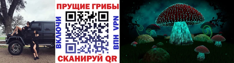 Купить закладки  Славгород  Псилоцибиновые грибы мухоморы 