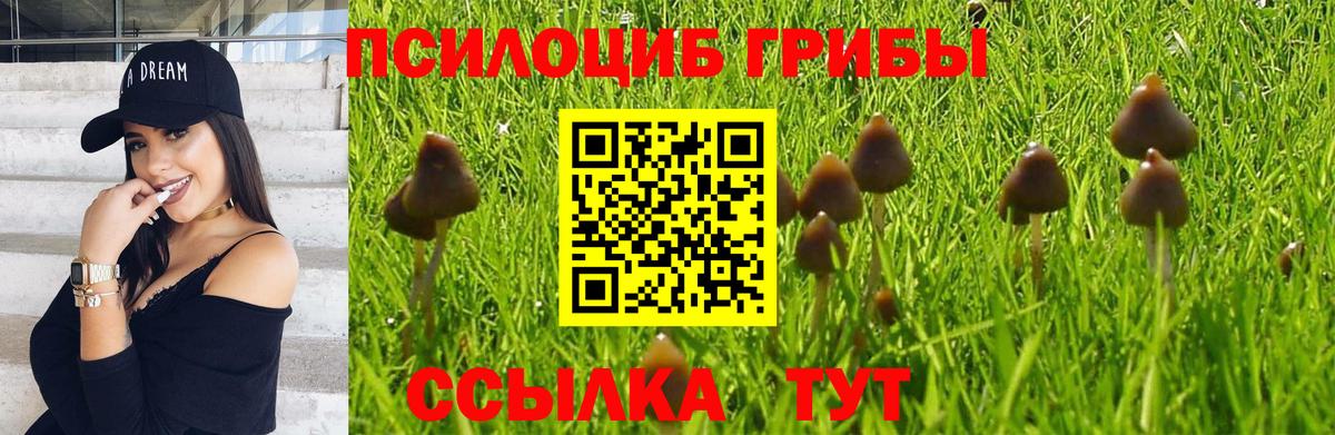 Галлюциногенные грибы Cubensis  Псилоцибиновые грибы Psilocybine cubensis  Славгород 