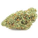 Шишки OG Kush  (Гидропоника, бошки) VHQ в Славгороде